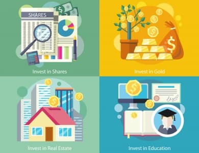 Exploring Your Investment Options