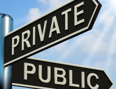 Public vs. Private Companies