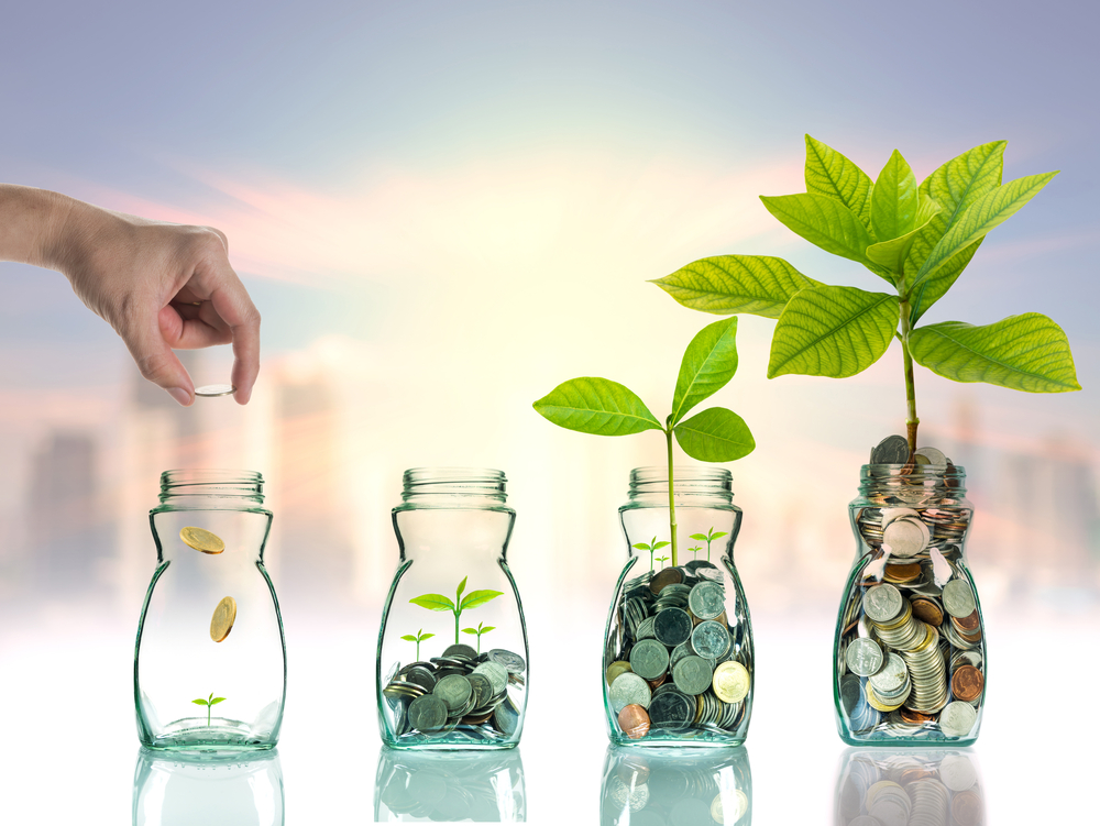 What is Investing